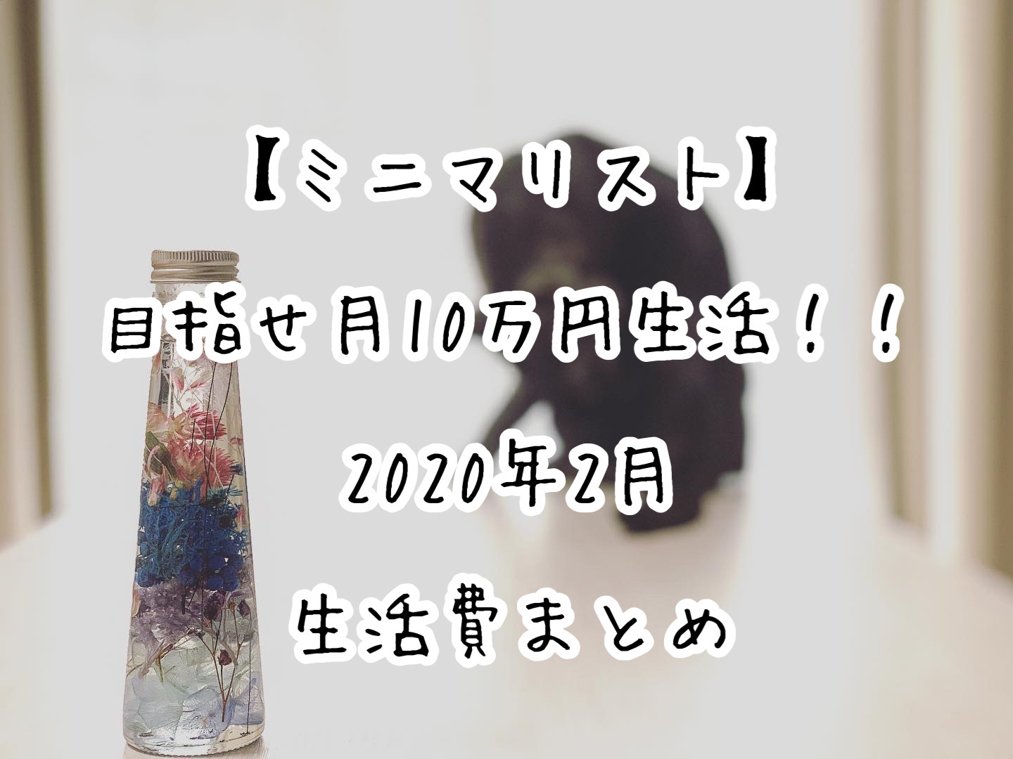 ミニマリスト 目指せ月10万円生活 年2月の生活費まとめ Slow Lifestyle