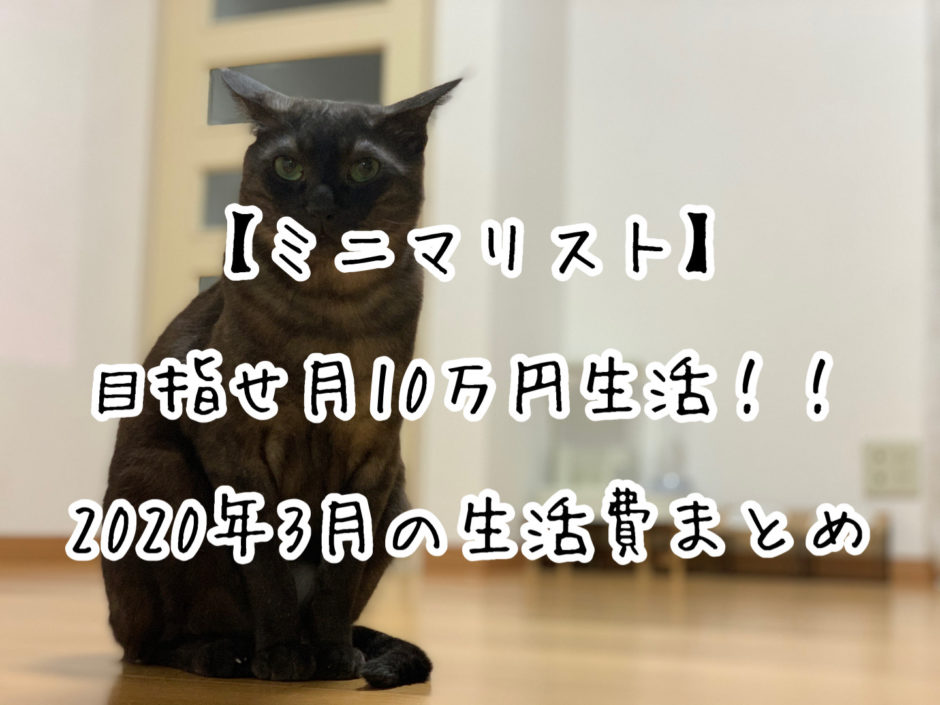 【ミニマリスト】目指せ月10万円生活！！2020年3月の生活費まとめ