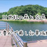 【公園】松戸にある「21世紀の森と広場」が自然豊かで癒し効果抜群！！