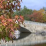 新潟県立鳥屋野潟公園｜鐘木地区で紅葉が楽しめる！公園の見所や雰囲気を紹介します