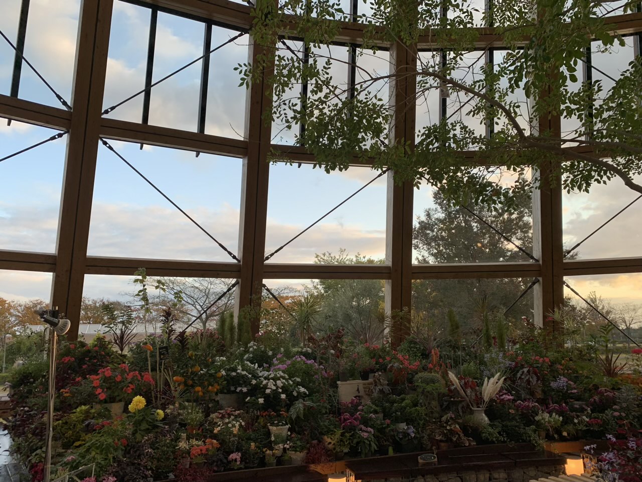 食育・花育センター「アトリウム」は緑あふれる癒し空間に！
